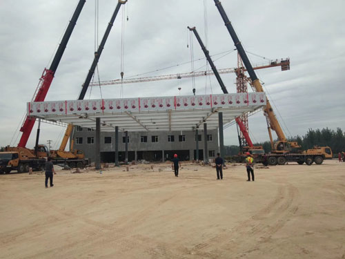 草莓视频黄版APP